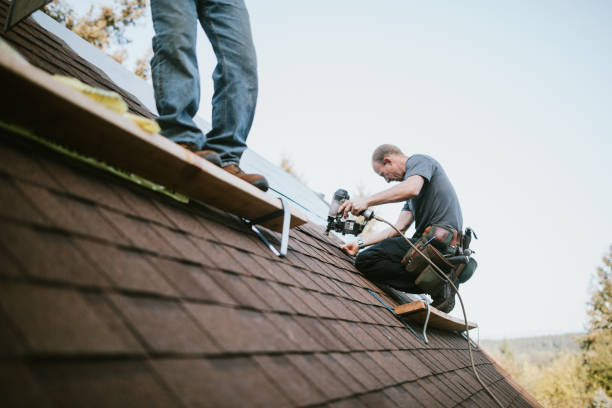 Roof Gutter Cleaning in Ripon, WI